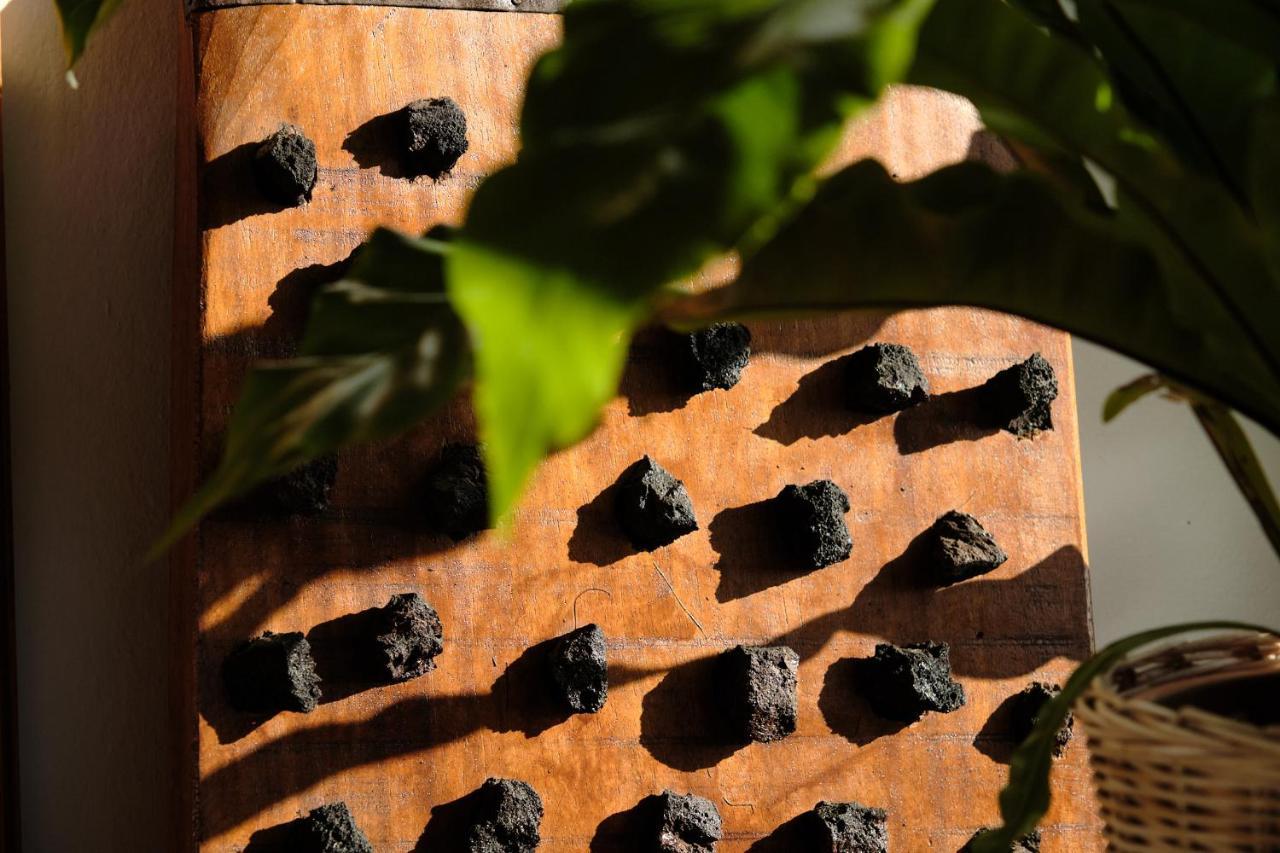 Ecofinca Aulaga Masdache Ngoại thất bức ảnh